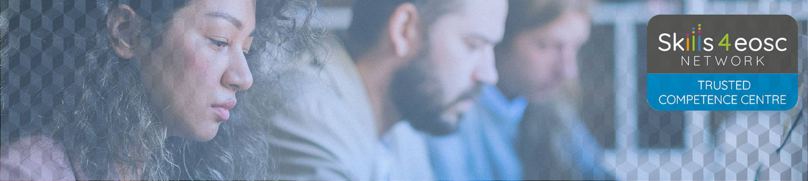 Competence Centre ICDI